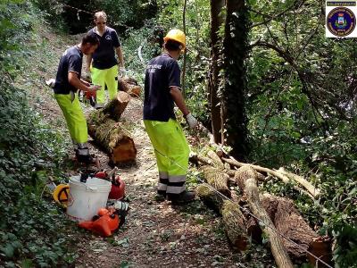 Protezione Civile